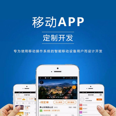 湖北網站建設app(湖北專業模板網站建設公司)