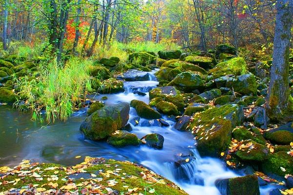 伊春網站建設美麗(伊春信息網免費發布)