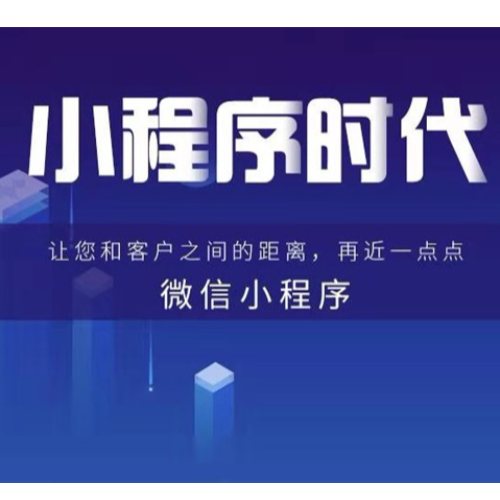 泰安小程序公司開發(泰安小程序公司開發招聘)