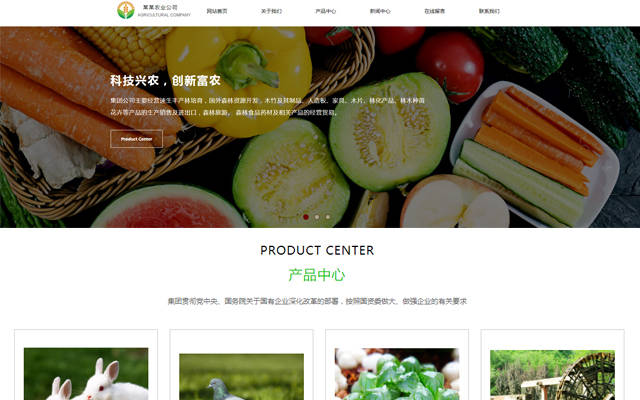 黃石網站建設產品(黃石網站建設公司百科)