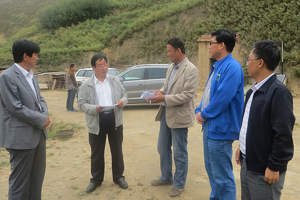 環縣網站建設(環縣城建局官網)