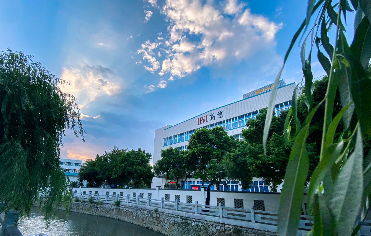 福州風景網站建設公司招聘(福州風景網站建設公司招聘電話)