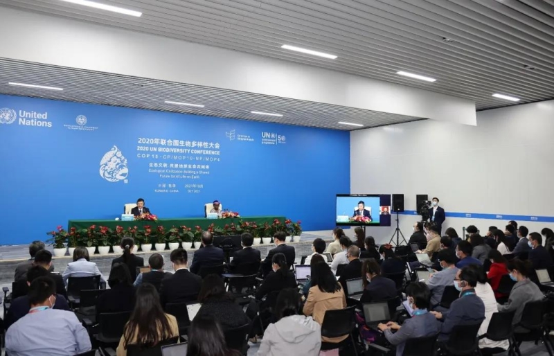 互聯網會議新聞(互聯網發展論壇新聞發布會)