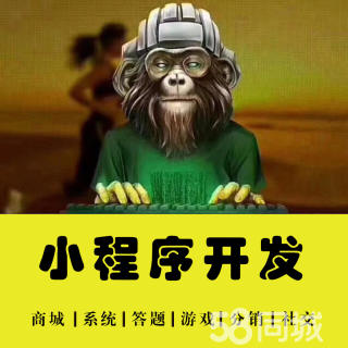 昌吉小程序制作公司開發(fā)(制作小程序軟件公司)