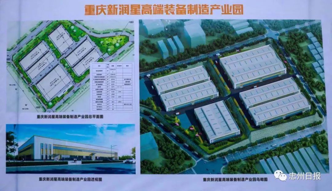 忠縣網站建設(忠縣建設委員會官網)