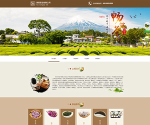 上海好茶網站建設(江蘇好茶網絡科技有限公司)