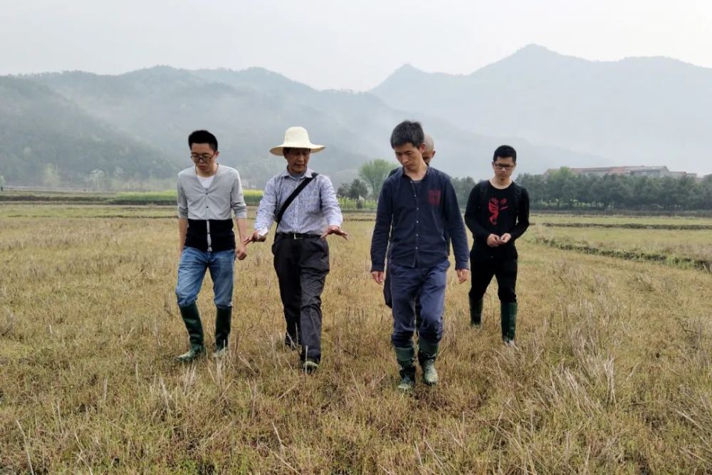 互聯網種田新聞(種田CEO)