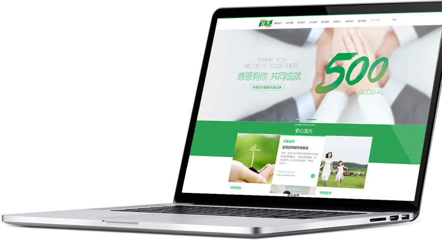 安寧網站建設平臺(安寧網站建設平臺有哪些)