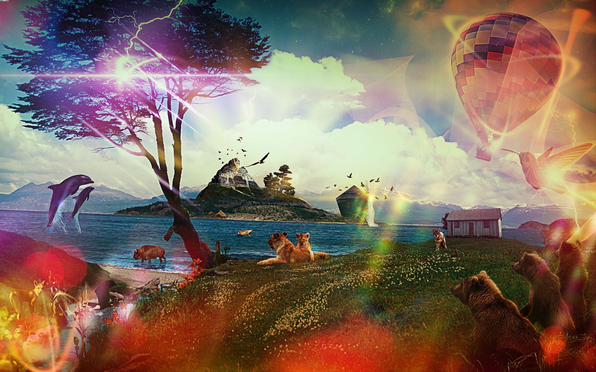 動物世界互聯網新聞頻道(動物世界這個平臺上新聞聯播)