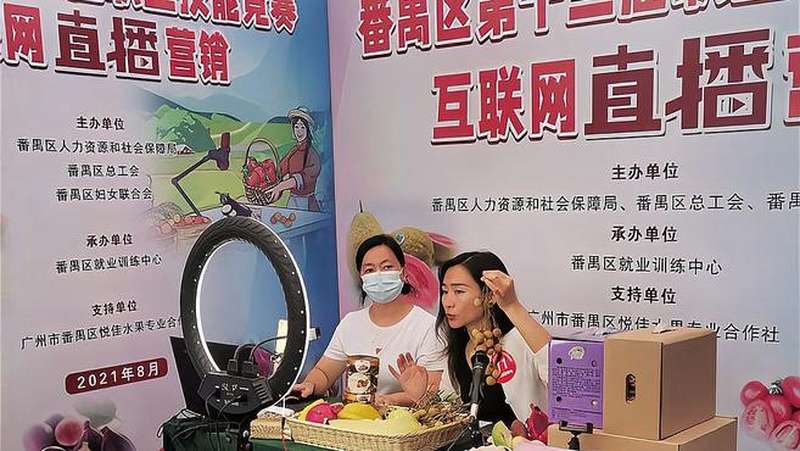 番禺互聯網最新消息(番禺互聯網最新消息新聞)