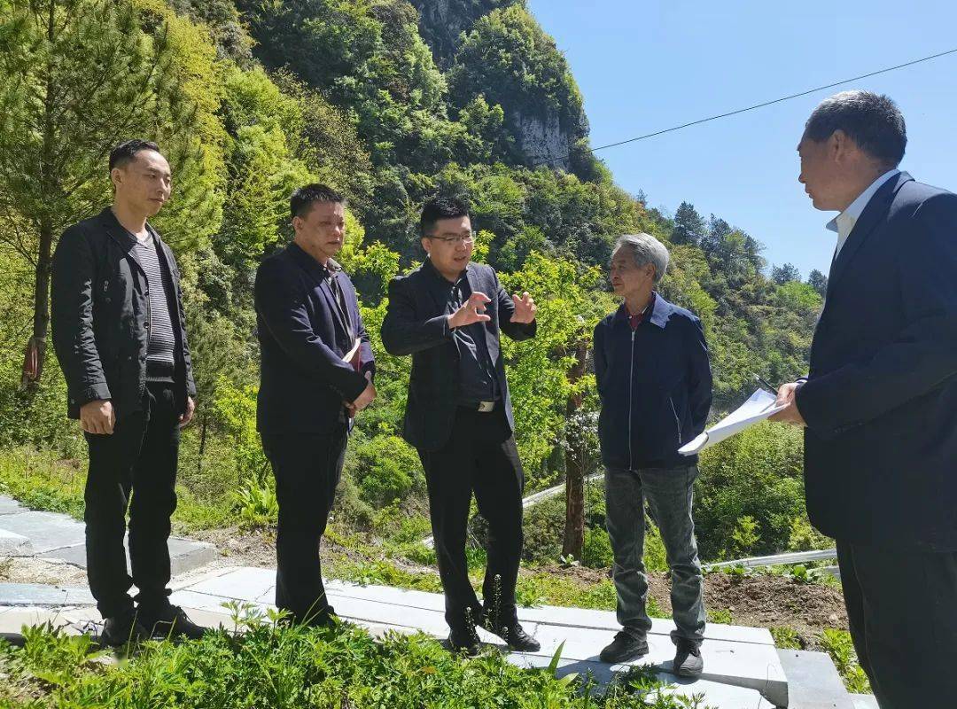 巫溪網(wǎng)站建設(shè)效果(巫溪縣人民政府公眾信息網(wǎng)招標(biāo)投標(biāo)信息)