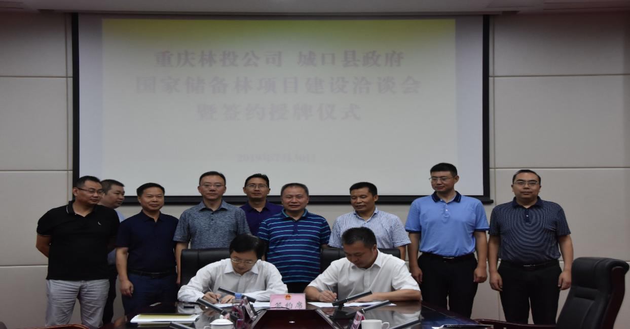 城口縣網站建設服務(城口縣網站建設服務公司)