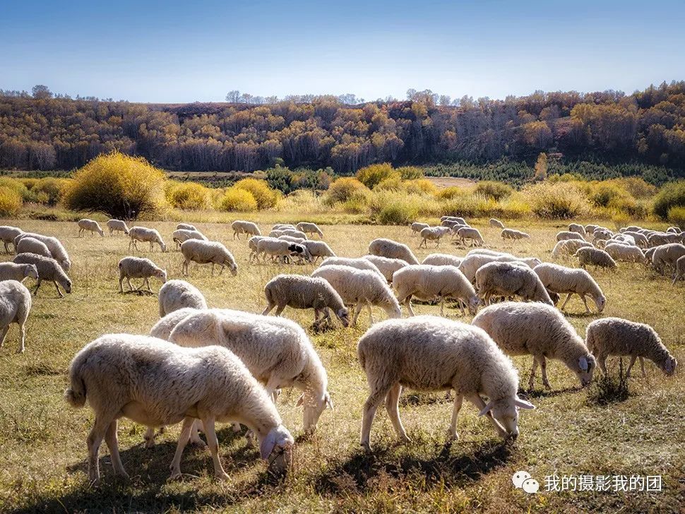 中國互聯(lián)網(wǎng)新聞中心趙萱(中國互聯(lián)網(wǎng)新聞中心趙萱主任)