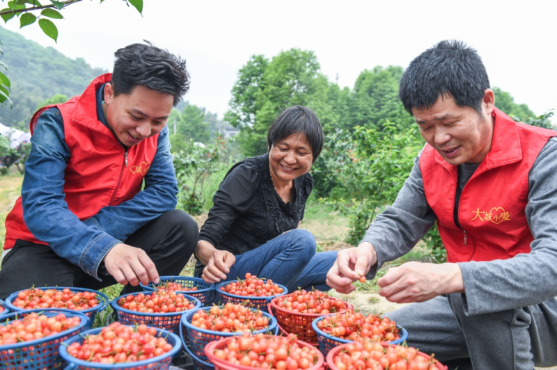 互聯網果農新聞(互聯網+果農創新創業計劃書)