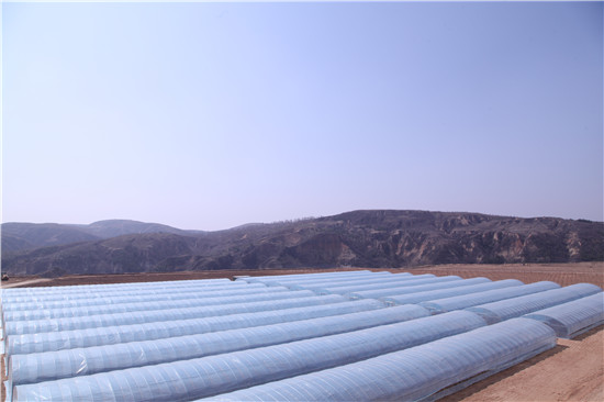 府谷互聯網村新聞(府谷縣新聞網最新新聞)