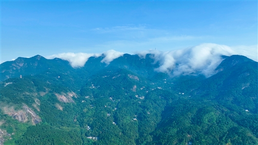 衡山互聯網新聞(衡山互聯網新聞官網)