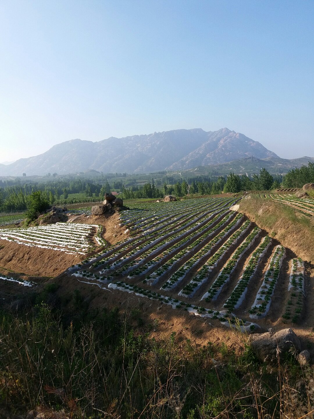 墨山互聯網最新消息新聞(墨山互聯網最新消息新聞網)