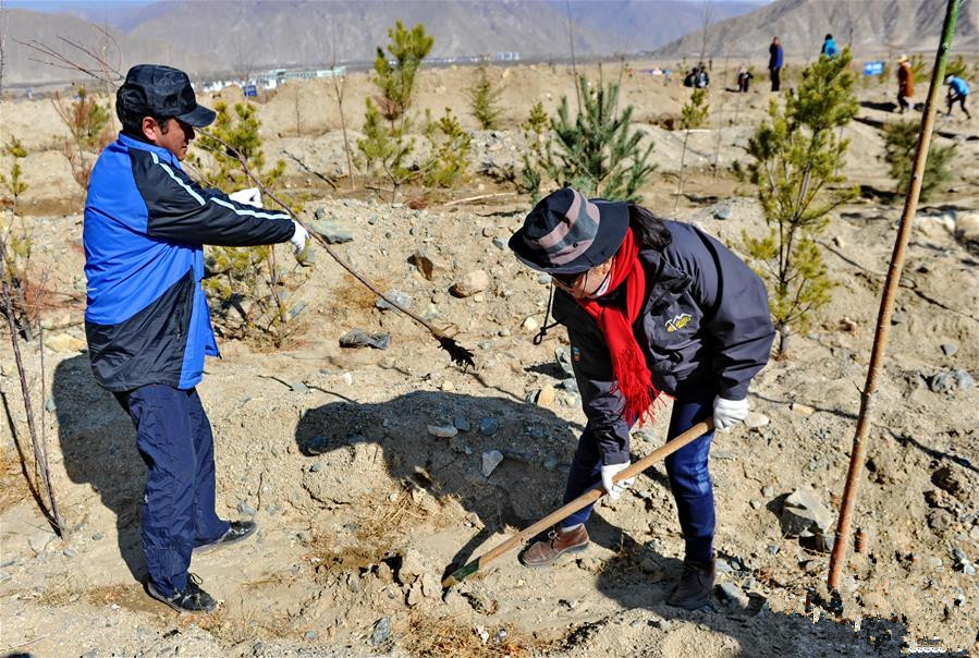 西蔵自治區建設廳網站(西省住房和城鄉建設廳綜合服務中心)